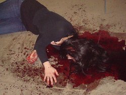 Cannibal holocaust vimeo best sale